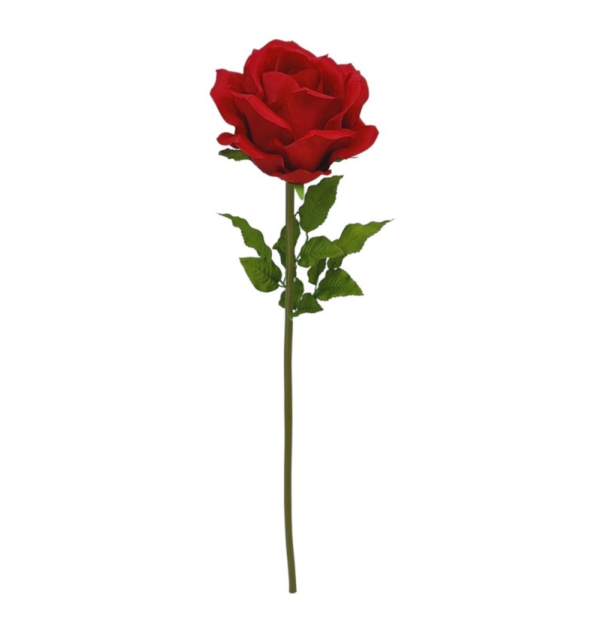 Kjøp Velur Rose på Stilk Rød Online - Nå kun 259 - Temashop.no