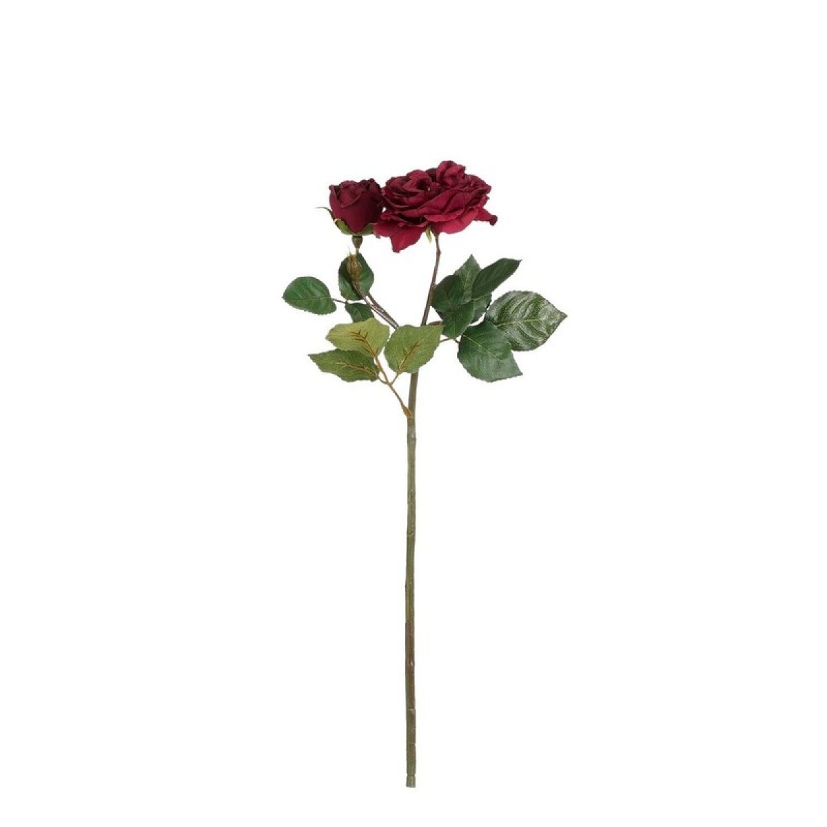 Kjøp Kunstig Engelsk Rose Rød Online - Nå kun 59 - Temashop.no
