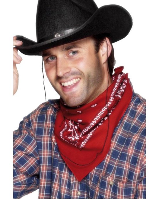 Cowboy fest - Kjp pynt i et gy cowboy tema p Temashop.no